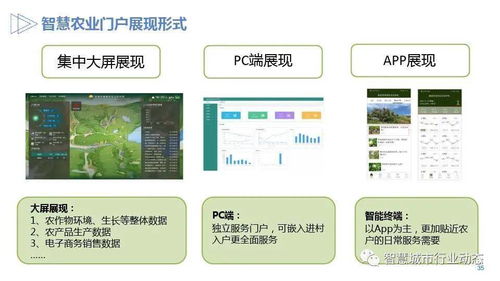 参考 农业数字化 智慧化设计方案 PPT